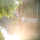날기다리는빵집 | 물길 따라 꼬불꼬불, 수향 마을 시탕 - #상해일기 1. 상해가 아닌 곳에서 시작하는 상해 여행