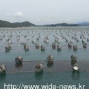 전남도,수출 효자상품은 '김': 이미지