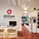 에그인짐 Daum카페
