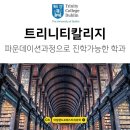 트리니티 칼리지 대학교 파운데이션으로 입학한다고요? 이미지