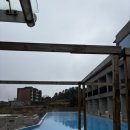 김밥나라대야 | 제주 DAY 3 : 다가미김밥, 제주김만복, 바솔트
