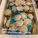 메디팜조약국 이미지