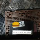사천LPG | 경남 사천에서의 그랜저 중고차수출후기(405번째 이야기)
