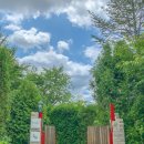 그린카펫 이미지