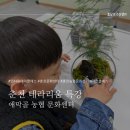 춘천농협농수산물종합유통센터 | 춘천 농협 문화센터 키즈 원데이클래스 테라리움 feat 미미숲