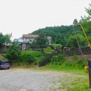 평창듀오애견수영장계곡펜션 이미지