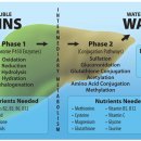조아약국 이미지