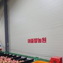 신성 | 아크릴스카시 신성광고자재 간판제작 후기