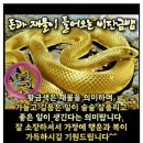 8월10일 토요일 이미지