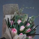 도봉-창동-도봉-5155 이미지