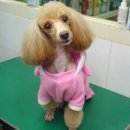 가족동물병원 이미지