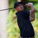 리코(rico) 이미지