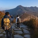 황매산 억새축제 이미지