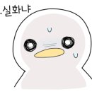 내가 만드는 숏폼(릴스) 영상 이미지