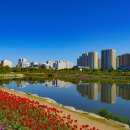 미사호수공원4 티스토리