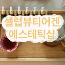 셀럽 뷰티어겐