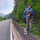 도마령영농조합법인 이미지