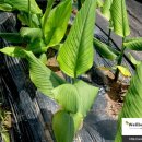 명현농장 이미지