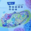 금고래7080라이브 | 울산 장생포 수국축제 코스 후기(주차장,포토존,공연정보 정리)