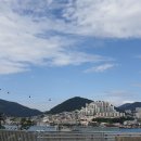 세구지5 이미지