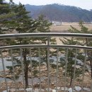 숲사이길펜션 이미지