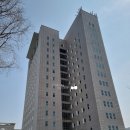 헬로우켈리