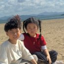 보성태권도장 이미지