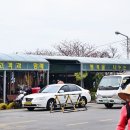 오일시장 이미지