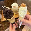 블레스롤평택 | [경기 평택] 블레스롤 아이스크림 디저트가 맛있는 내돈내산 카페