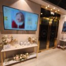 더블유 페스타 이미지