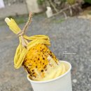 남궁목장 | 제주 점점 카페 초당옥수수 아이스크림 맛있는 애견 동반 카페