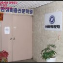 꼬뜨리아 이미지