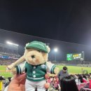 광주108 | [야구] 광주챔필 첫원정직관 후기! (챔피언스필드 1루 108블록 11열 시야)