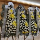 광명성애병원 이미지