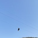 곡성집라인 이미지