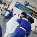 용인대 국가대표 유도관 이미지