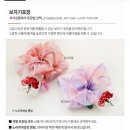마실둔산점 | [ep.5] 대망의 상견례 후기 (대전 마실 둔산점 상견례 선물 상견례 옷 추천)