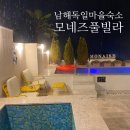 모네즈 | 남해 독일마을 숙소 추천 모네즈풀빌라 2번째 방문후기