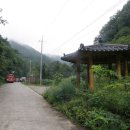 뒷골샘터 Daum카페