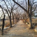 갯골안2 이미지