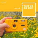 개나리슈퍼 | 코닥 M35 필름카메라, 입문자 6개월 써보고 느낀 솔직후기 (ft. 작동법, 인화사진 포함)