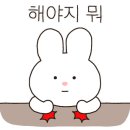 하이원 그랜드호텔카지노 이미지