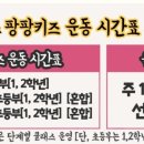 팡팡어린이체육교실