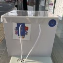[Wedding]강남구청역 꽃집 쿠담플라워-부케 맛집,청담동 부케,촬영부케 후기,부케 찐 추천