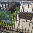 초량1동 소규모 마을공원 이미지