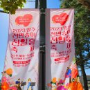[양주 나리농원] 천만송이 천일홍 축제 후기 및 나리농원 꽃 개화 현황(나리농원 개장 ~23.10.20)