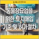 늘세움공인중개사사무소 이미지