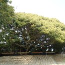 장사도해상공원 이미지