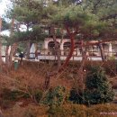 솔푸른향기