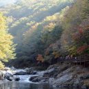 선돌마루 이미지